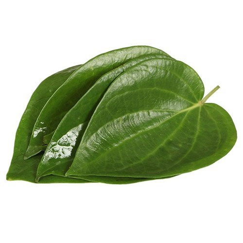 Betel Leaves