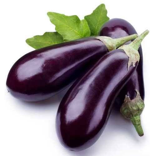 Brinjal-Big-Purple